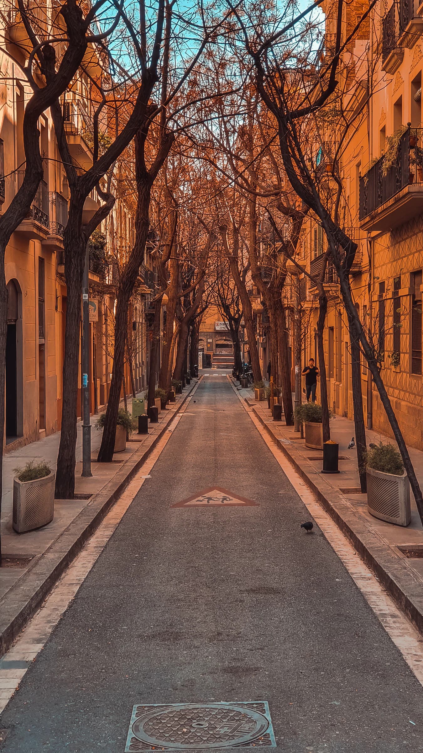 A quiet tree-lined Barcelona street with fallen leaves