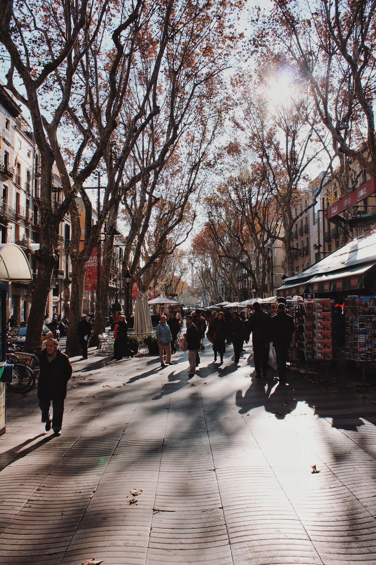 Pedestrians and market stalls beneath the trees of Barcelona’s Rambla