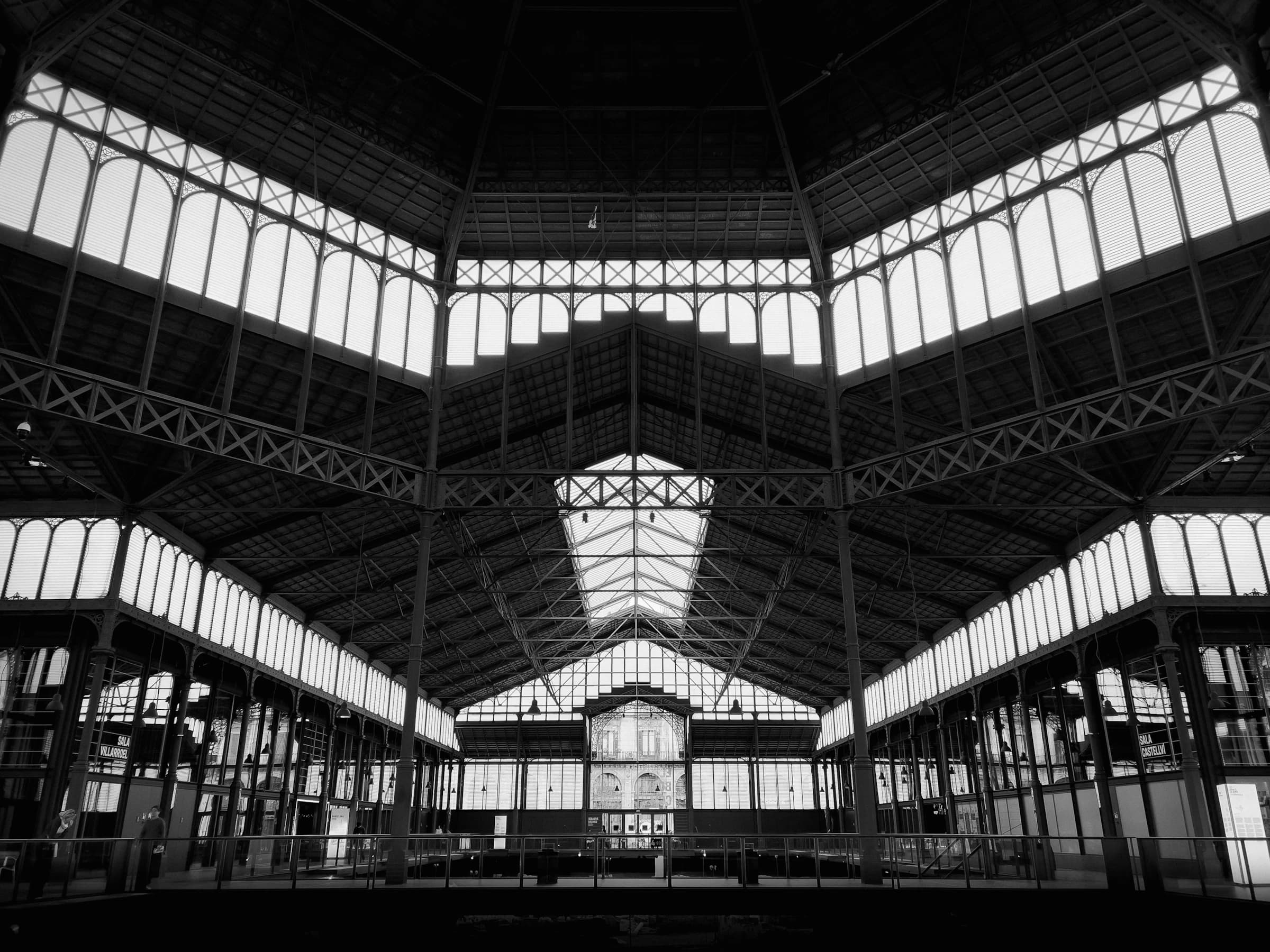 The iron-and-glass roof of the former Born market