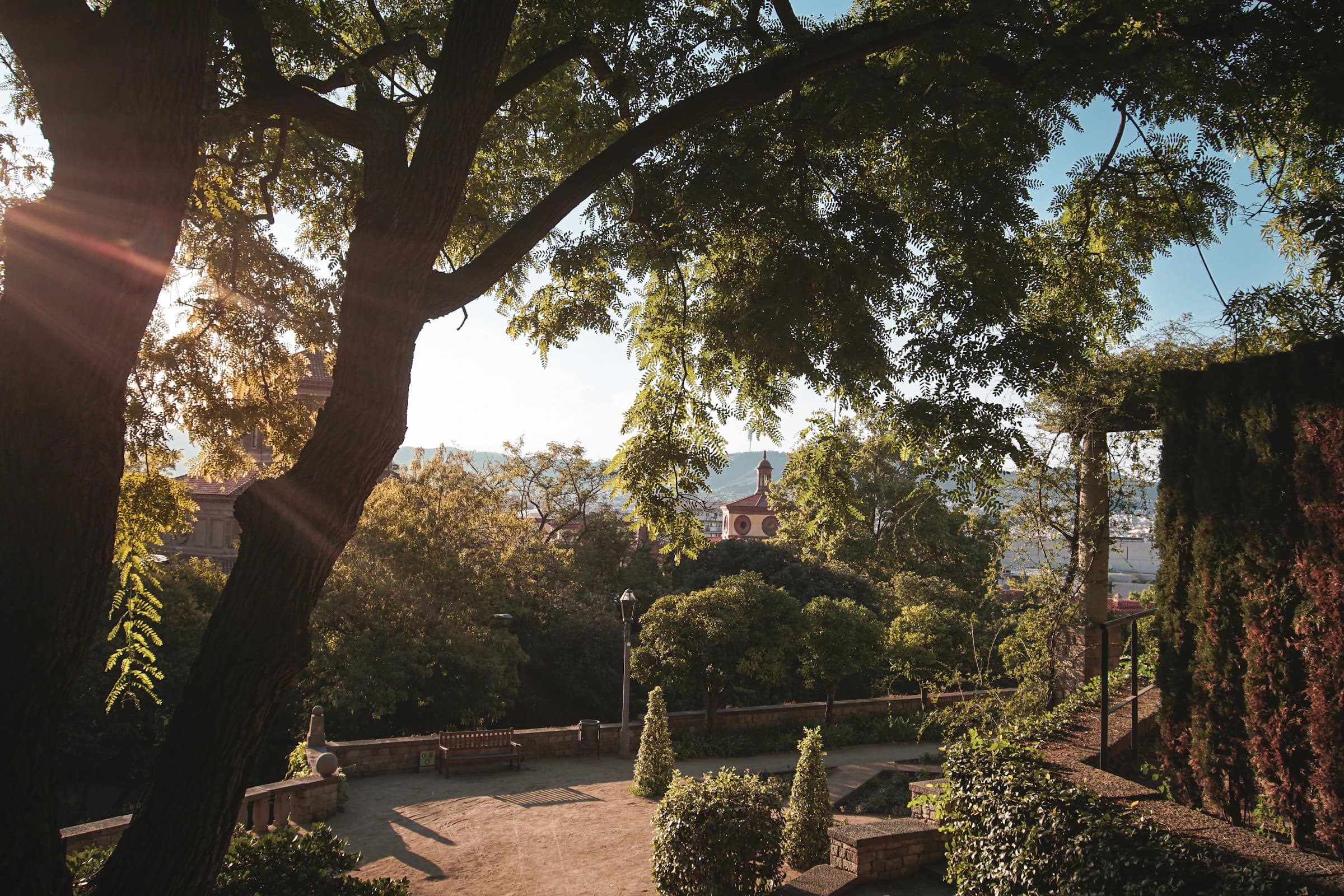 Sunlight filtering through trees along a garden path on Montjuïc